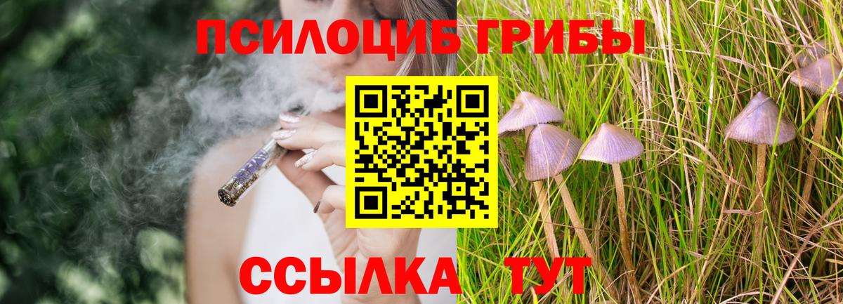 Урай  Галлюциногенные грибы Psilocybe  Вход с VPN  закладки  Галлюциногенные грибы MAGIC MUSHROOMS 
